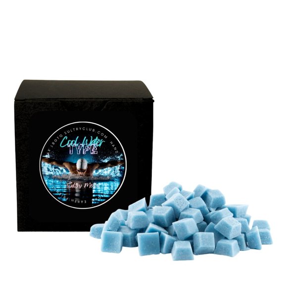 Cool Water Type Travel Candle 0r Wax Melts - Picture 3 of 4